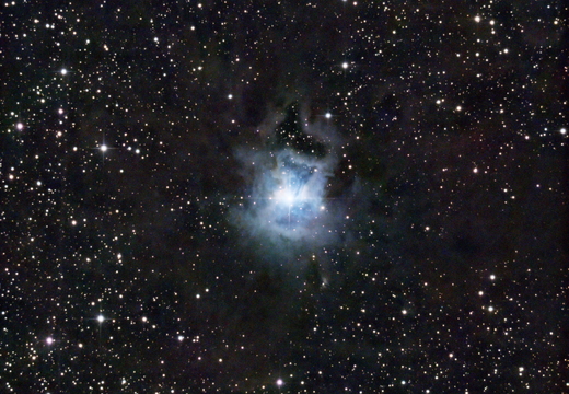 final r Nebula stacked GraXpert crop be dn AbRem pcc asinh SCurve