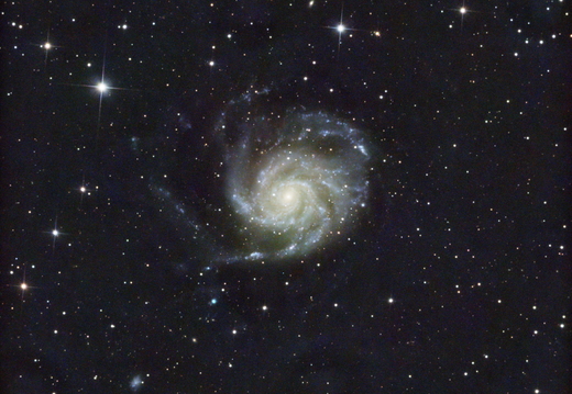 final r M101 stacked GraXpert Crop be dn AbRem spcc stretch SCurve